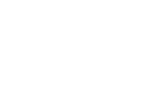 Salebarbes